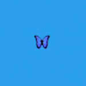 Meet your Posher, Charline